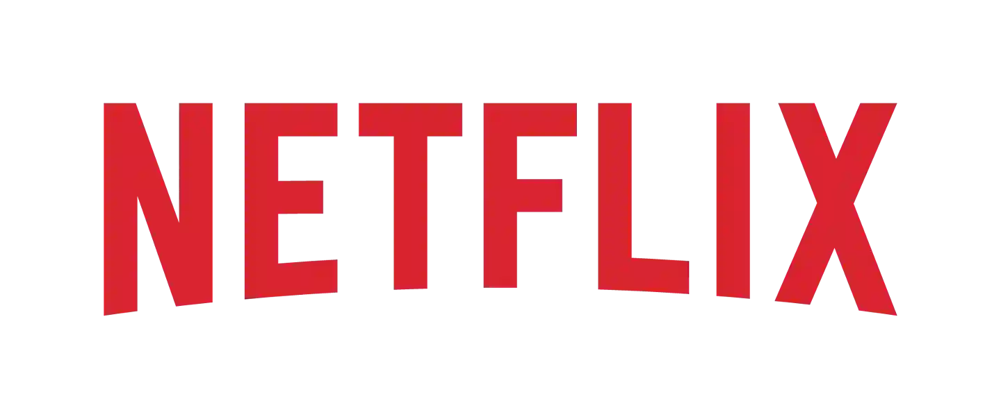 Iconic Netflix logo in vibrant red uppercase font with a subtle bottom arch on a white background.